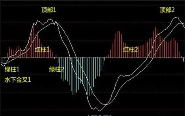 依托数字化推进电力低碳转型