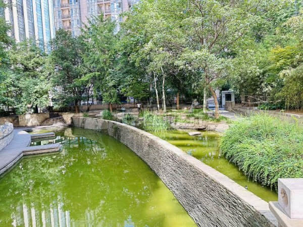 激发开放型经济韧性与活力――浙江从“地瓜理论”到“地瓜经济”发展调查