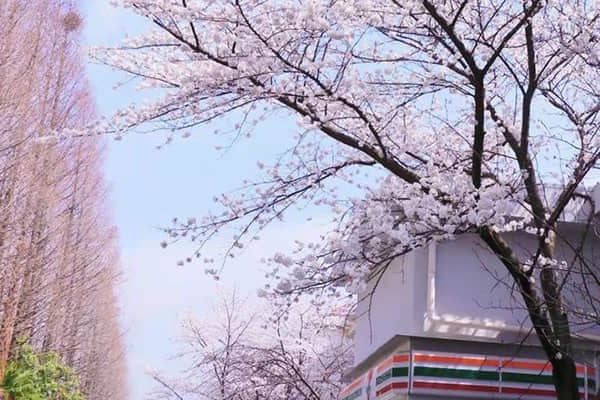 广州优化调整限购政策 放开120平方米以上住房限购