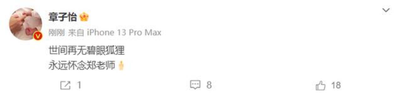 子怡悼念郑佩佩：世间再无碧眼狐狸