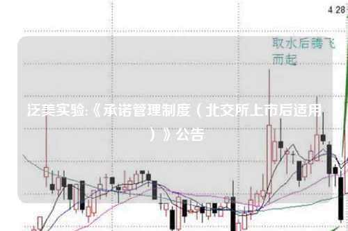 泛美实验:《承诺管理制度（北交所上市后适用）》公告