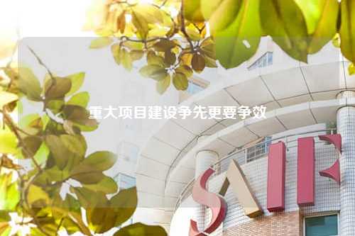 重大项目建设争先更要争效