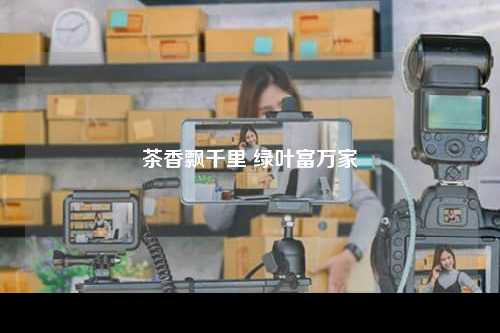 茶香飘千里 绿叶富万家