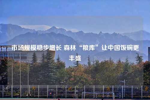 市场规模稳步增长 森林“粮库”让中国饭碗更丰盛