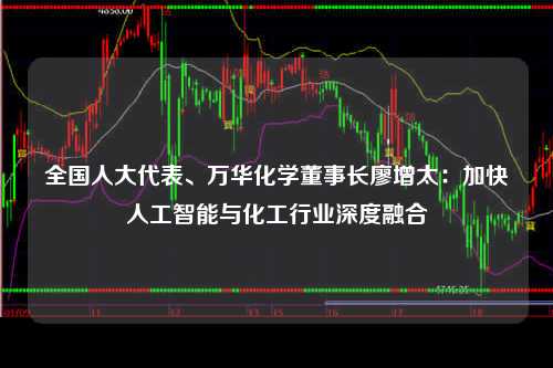 全国人大代表、万华化学董事长廖增太：加快人工智能与化工行业深度融合