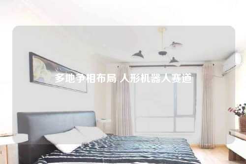 多地争相布局 人形机器人赛道