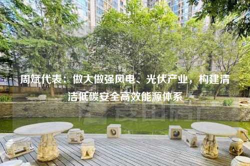 周斌代表：做大做强风电、光伏产业，构建清洁低碳安全高效能源体系