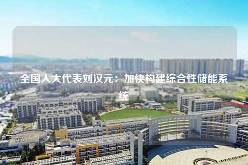 全国人大代表刘汉元：加快构建综合性储能系统