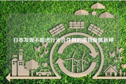 日本发现不能进行光合作用的植物新属新种