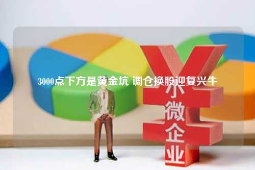 3000点下方是黄金坑 调仓换股迎复兴牛