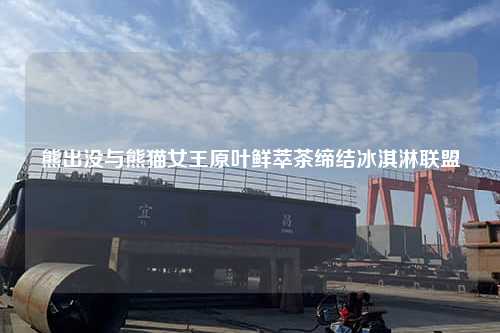 熊出没与熊猫女王原叶鲜萃茶缔结冰淇淋联盟